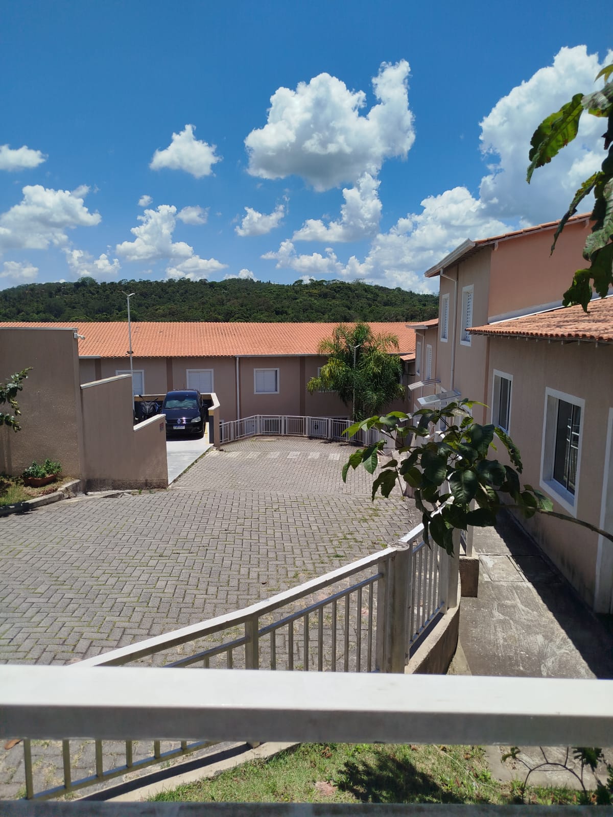 Miniatura 33