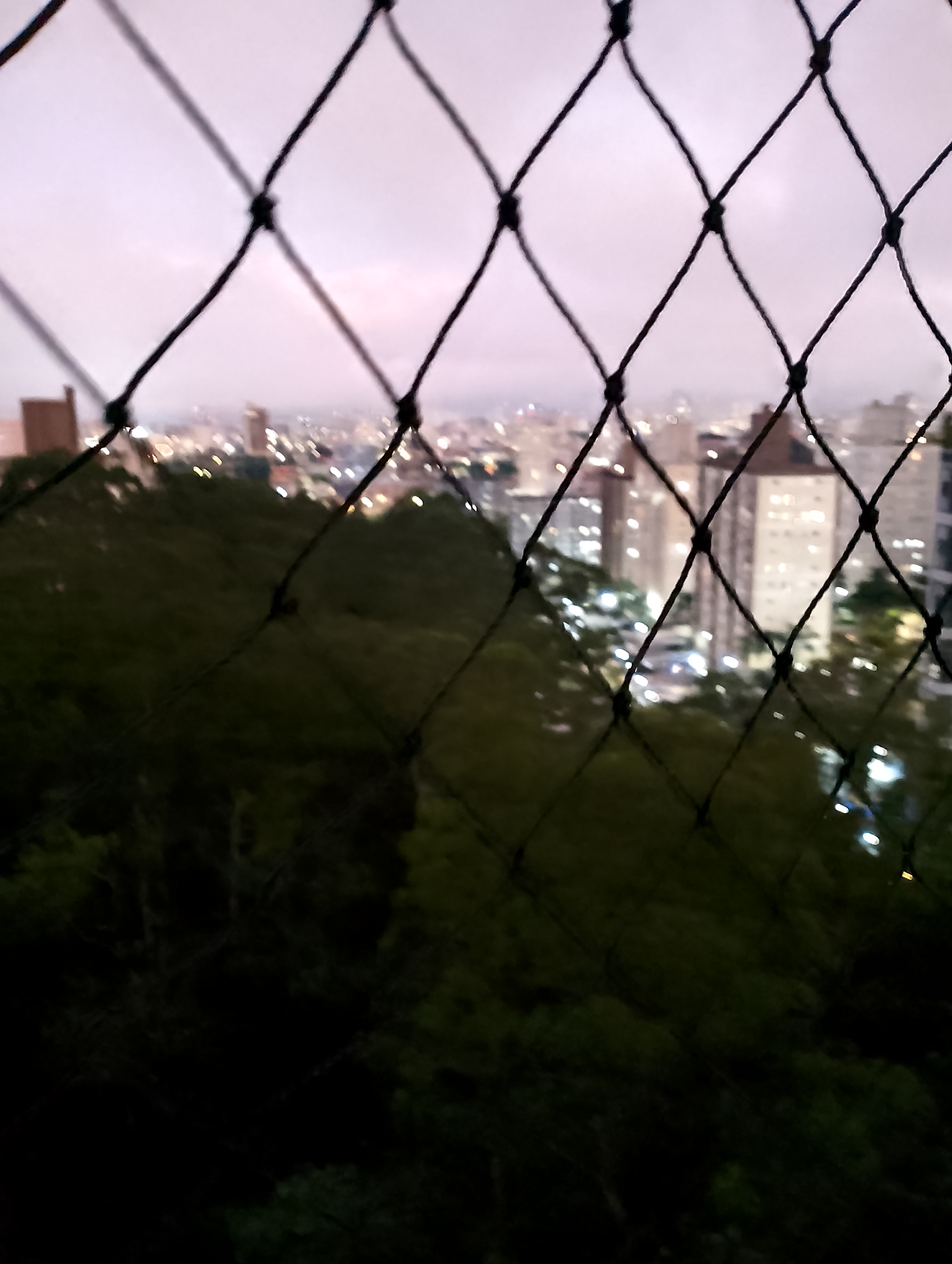 Miniatura 14